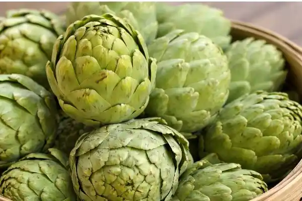 Feuilles et coeur d'artichaut frais pour la régulation de la glycémie