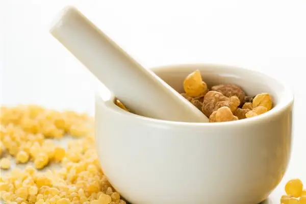 Résine de Boswellia serrata (encens indien) et représentation du cerveau