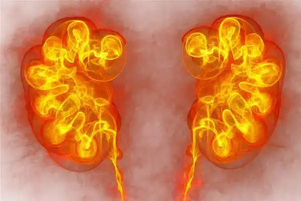 Assortiment de plantes, fruits et légumes bénéfiques pour la santé rénale