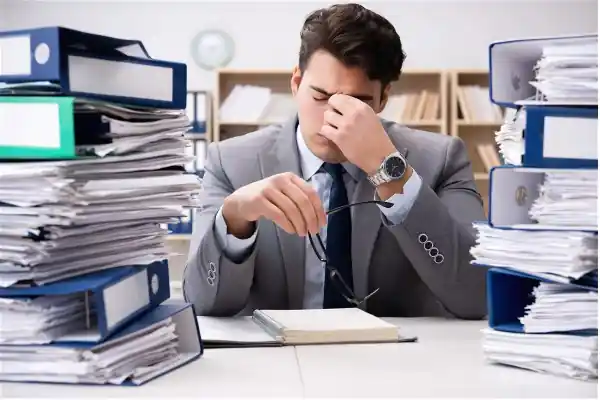 Ginseng rouge coréen et racine de Panax ginseng pour réduire le stress professionnel