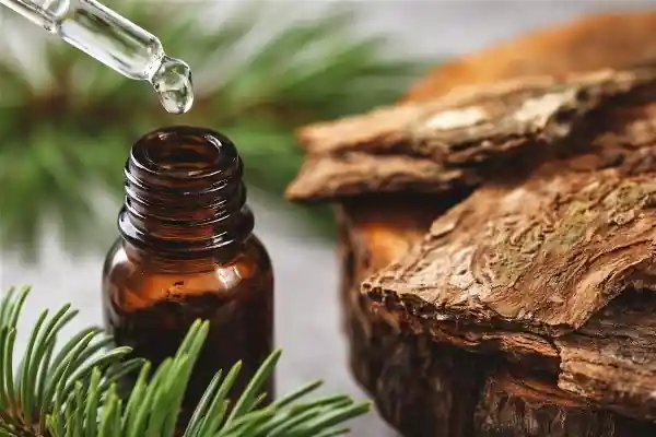 Traitement hormonal de la ménopause - options et décisions