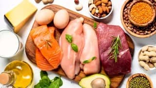 Aliments riches en protéines