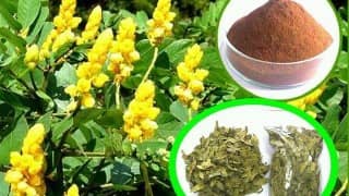 Natural Laxative 12 Remedies Instant Constipation Relief
